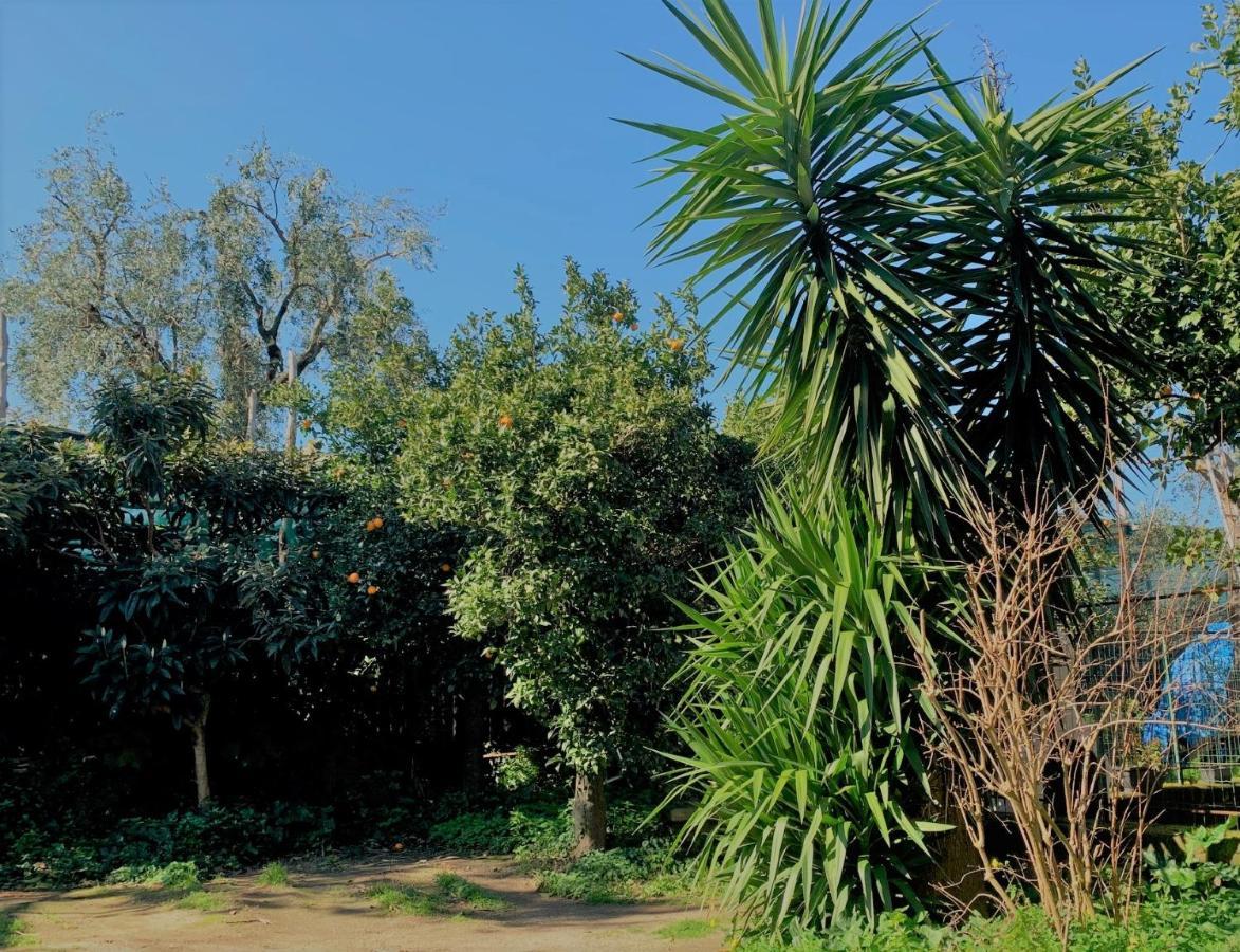 Itaca B&B Piano di Sorrento Exterior photo