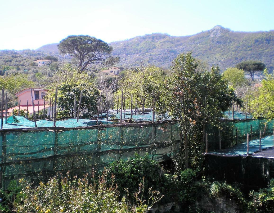 Itaca B&B Piano di Sorrento Exterior photo